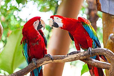 任天堂社长称Switch不会涨价：害怕吓跑消费者